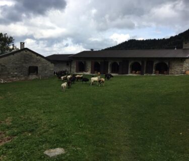 Agriturismo alpe di gotta